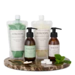 Startset milde munt en pepermunt Rebloom